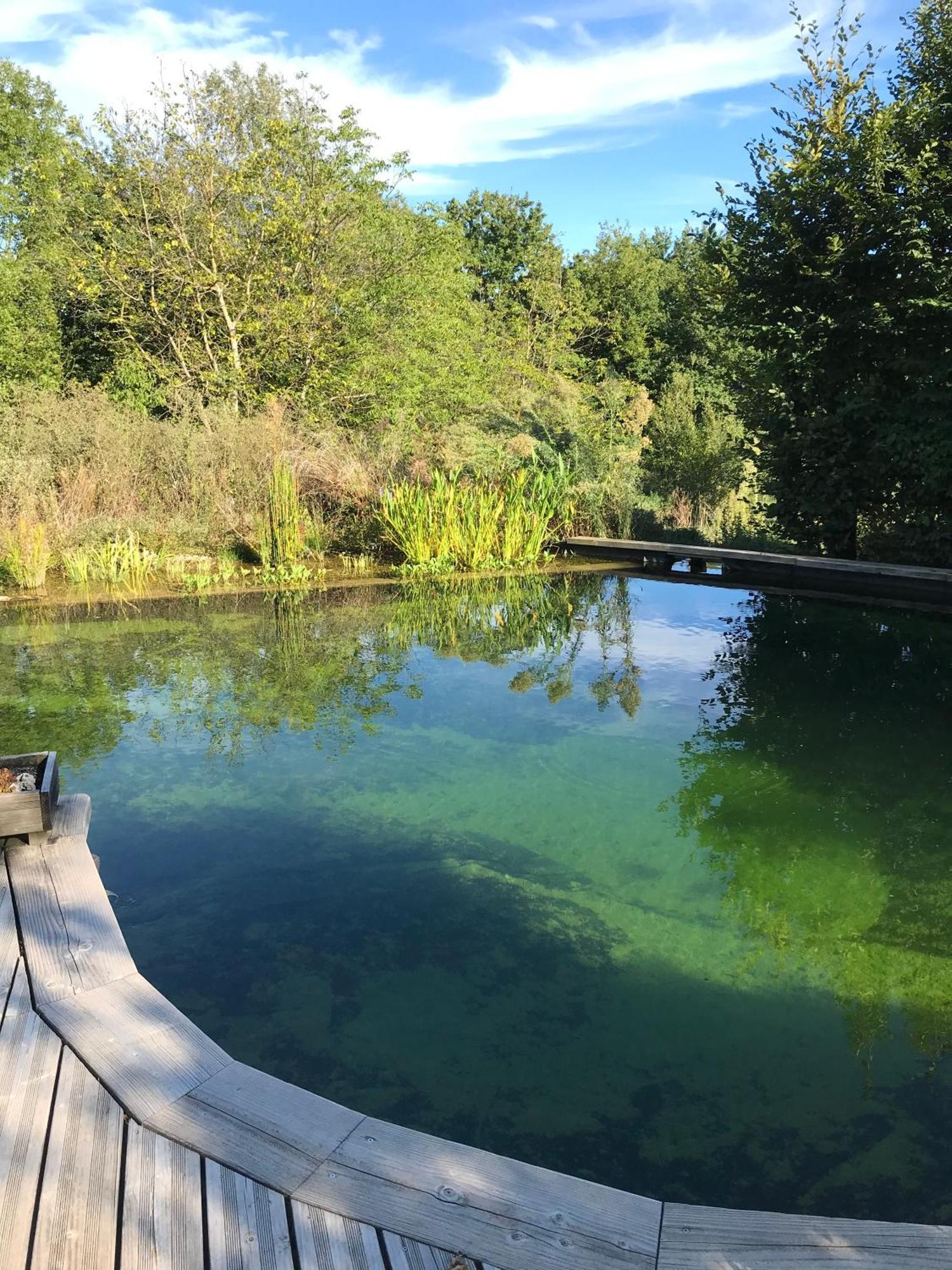 Bed and Breakfast Ecolieu Le Chant Du Temps Saint-Usuge Exterior foto
